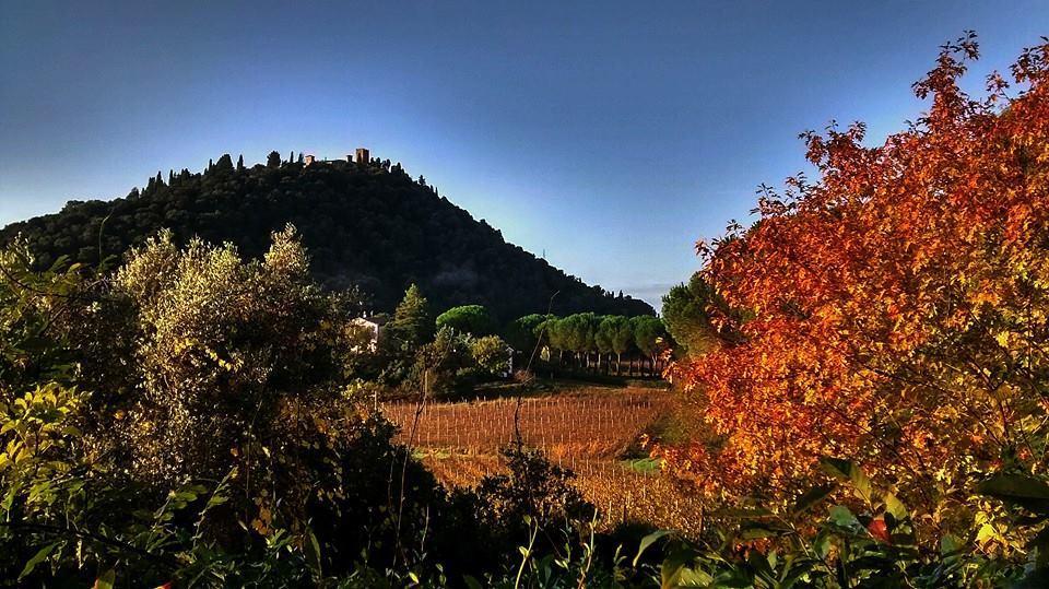 Podere L'Olmaia Marsiliana Ngoại thất bức ảnh